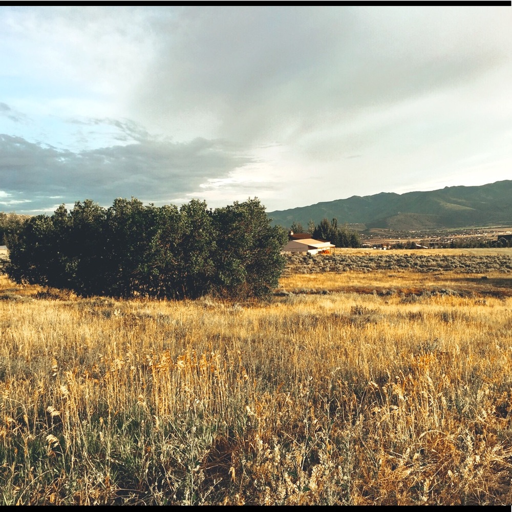 Meet your Posher, Eve